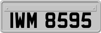 IWM8595