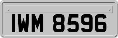 IWM8596