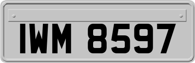 IWM8597