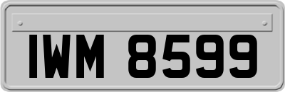 IWM8599