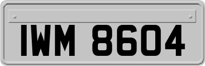 IWM8604