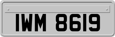 IWM8619