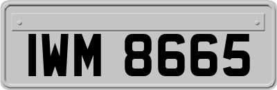 IWM8665