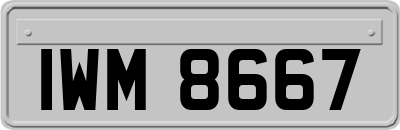 IWM8667