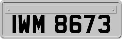 IWM8673