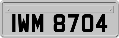 IWM8704