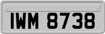 IWM8738