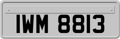 IWM8813