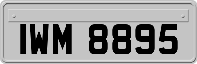 IWM8895