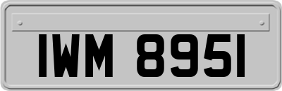 IWM8951