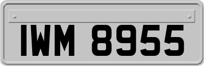 IWM8955