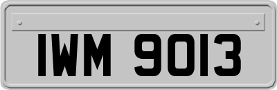 IWM9013