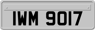 IWM9017