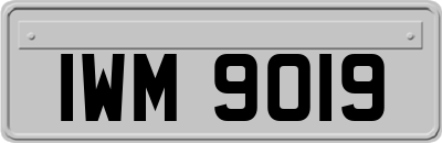 IWM9019