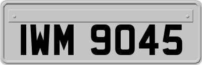 IWM9045