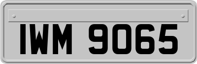 IWM9065
