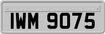 IWM9075