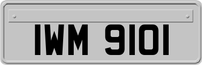 IWM9101
