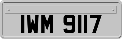 IWM9117