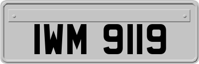 IWM9119