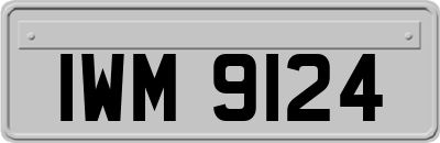 IWM9124