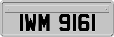 IWM9161