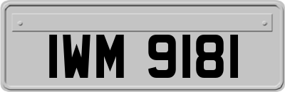 IWM9181