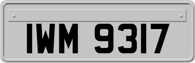 IWM9317