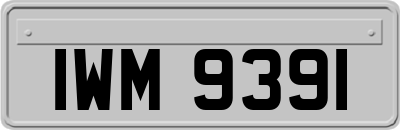 IWM9391