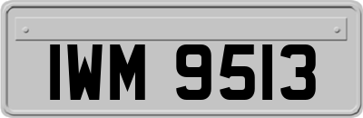 IWM9513