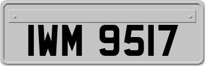 IWM9517