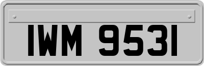 IWM9531