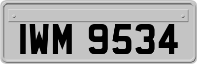 IWM9534