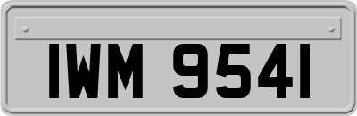 IWM9541