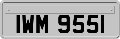 IWM9551