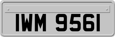 IWM9561