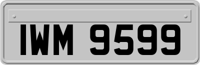 IWM9599