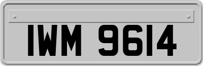 IWM9614
