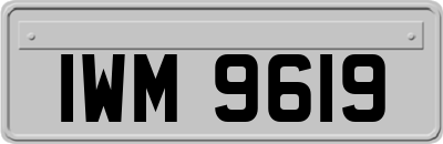 IWM9619