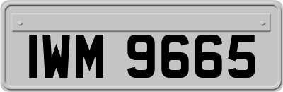 IWM9665