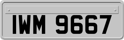 IWM9667