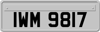 IWM9817