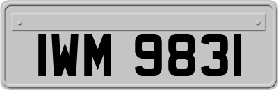 IWM9831