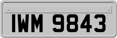 IWM9843