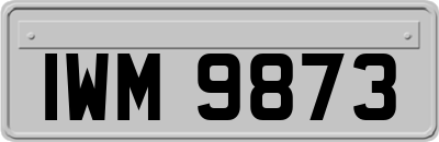 IWM9873