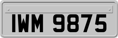 IWM9875