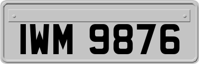 IWM9876