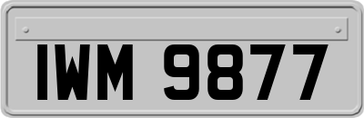 IWM9877