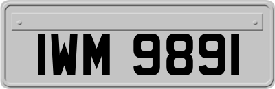 IWM9891