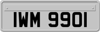 IWM9901